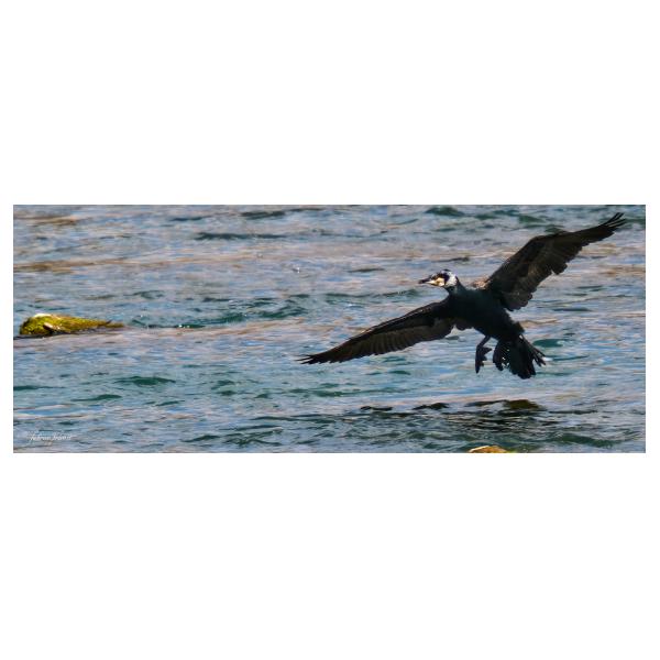 PHOTO84, CLUB, 84 , LUBERON